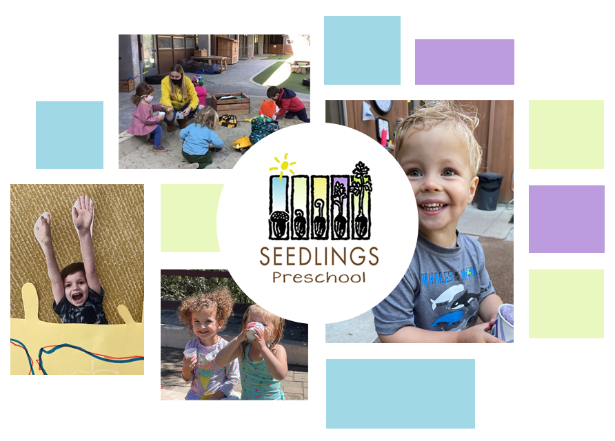 Summer at Seedlings Preschool