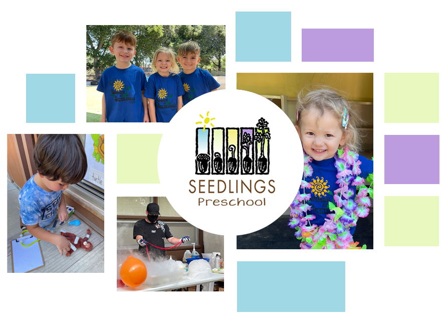 Summer Seedlings Preschool
