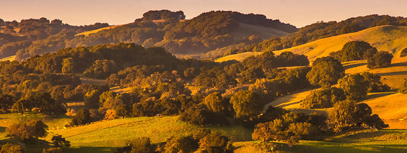 Welcome to Lafayette-Orinda Presbyterian Church