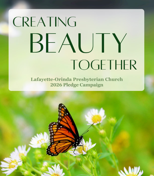 Creating Beauty Together